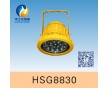 HSG8830/BTC8830LED防爆投光燈